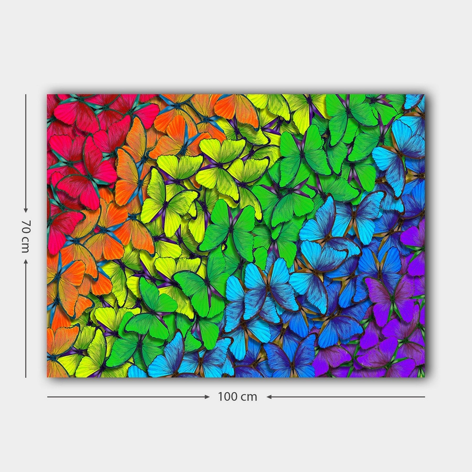 Tablou 441HPE1814, multicolor, panza, 100x70 cm