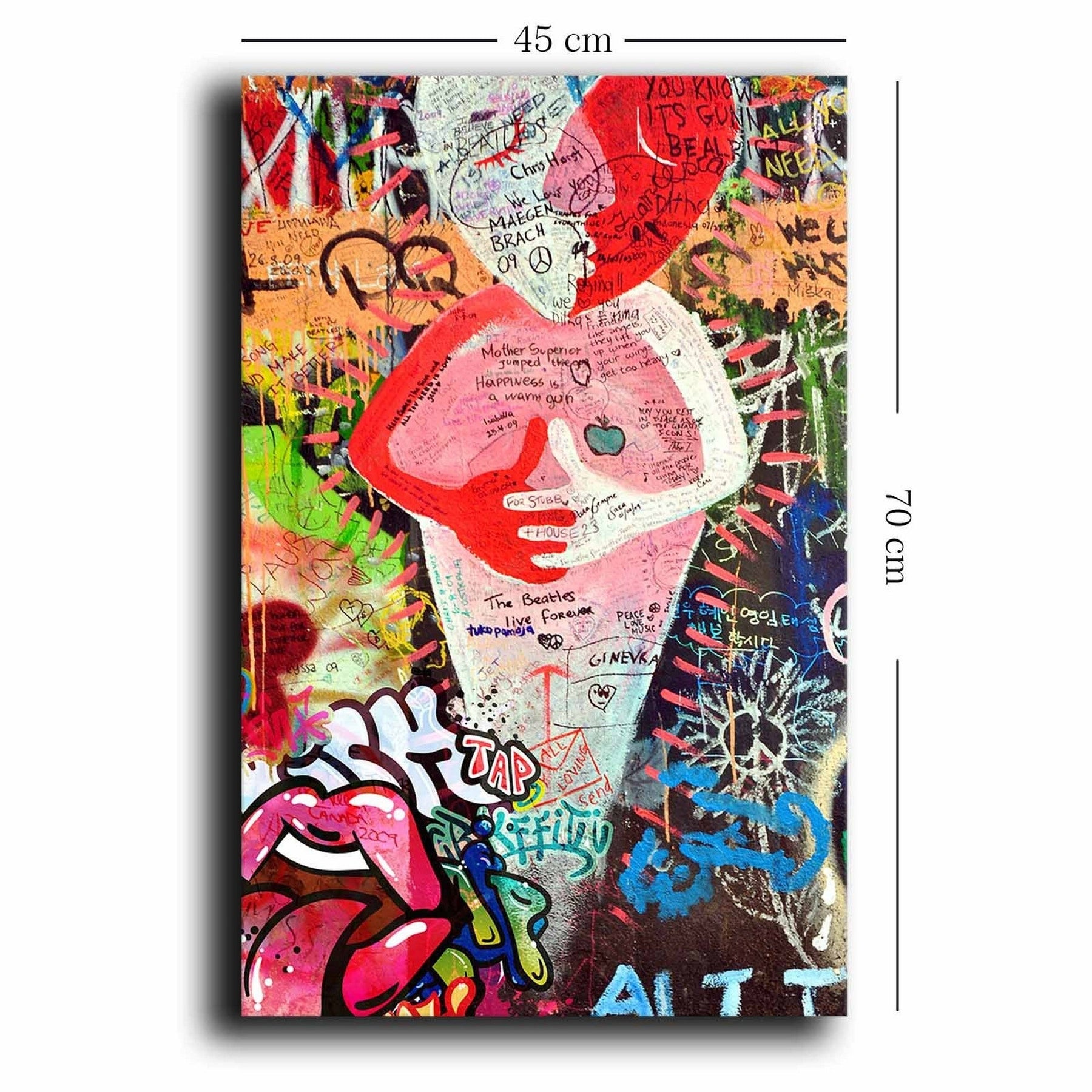 Tablou 649THL1137, multicolor, panza/lemn, 45x70 cm