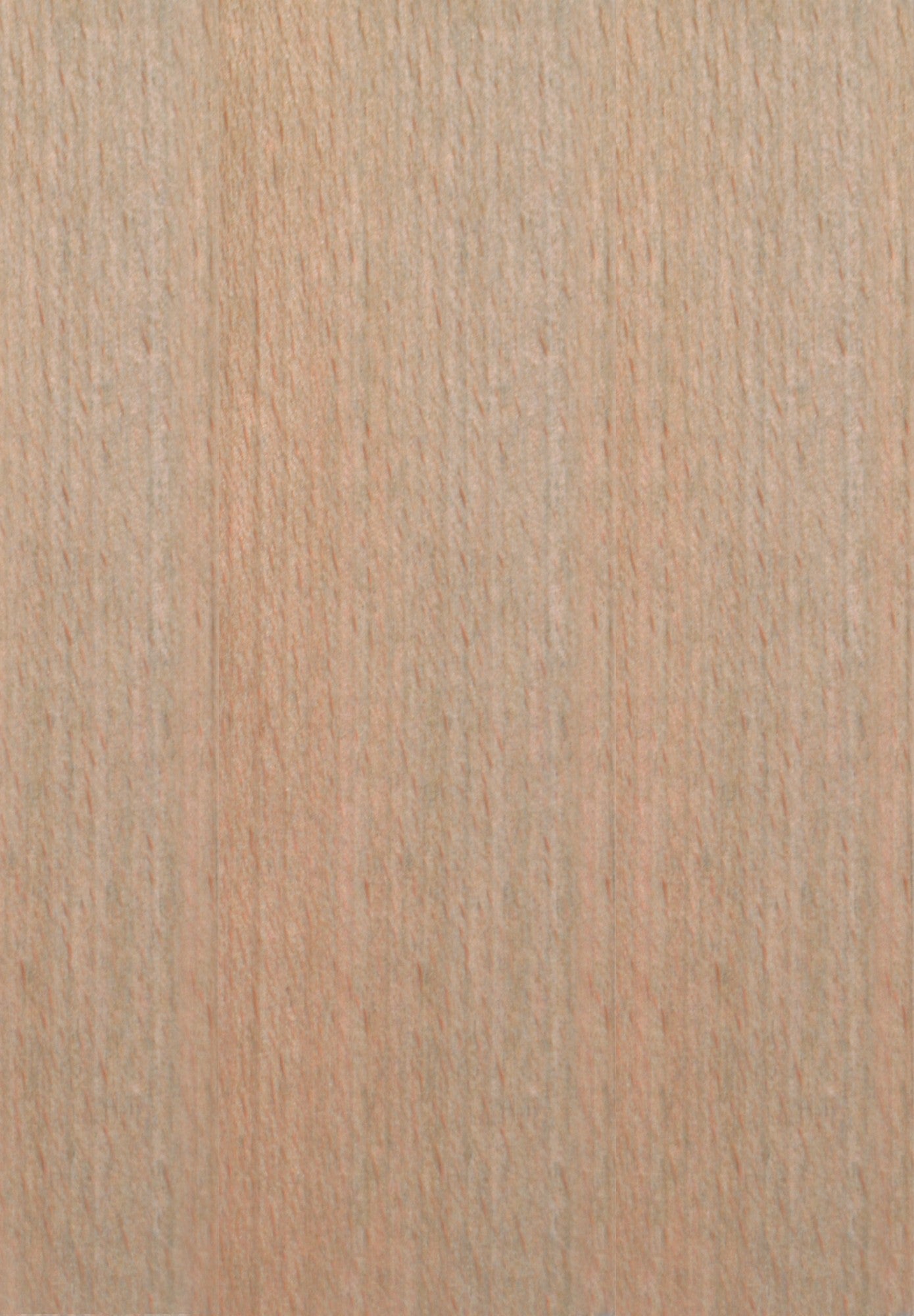 Scaun BOS 10, stejar grandson/gri - Aston 17, lemn de fag/stofa clasica, 43x40x94 cm