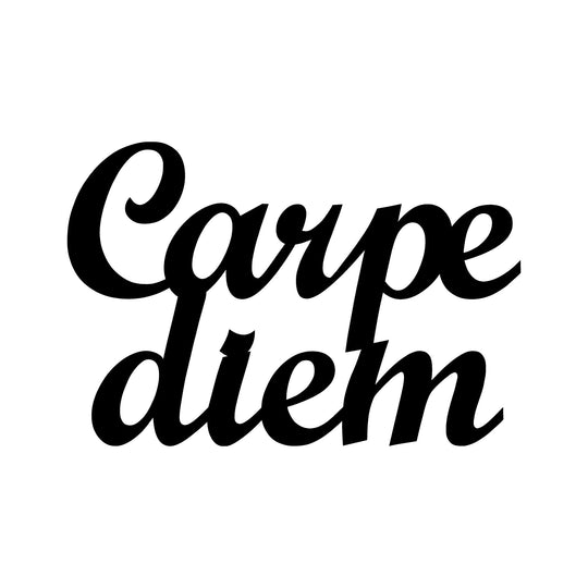 Accesoriu decorativ Carpediem 1, negru, metal, 50x38 cm