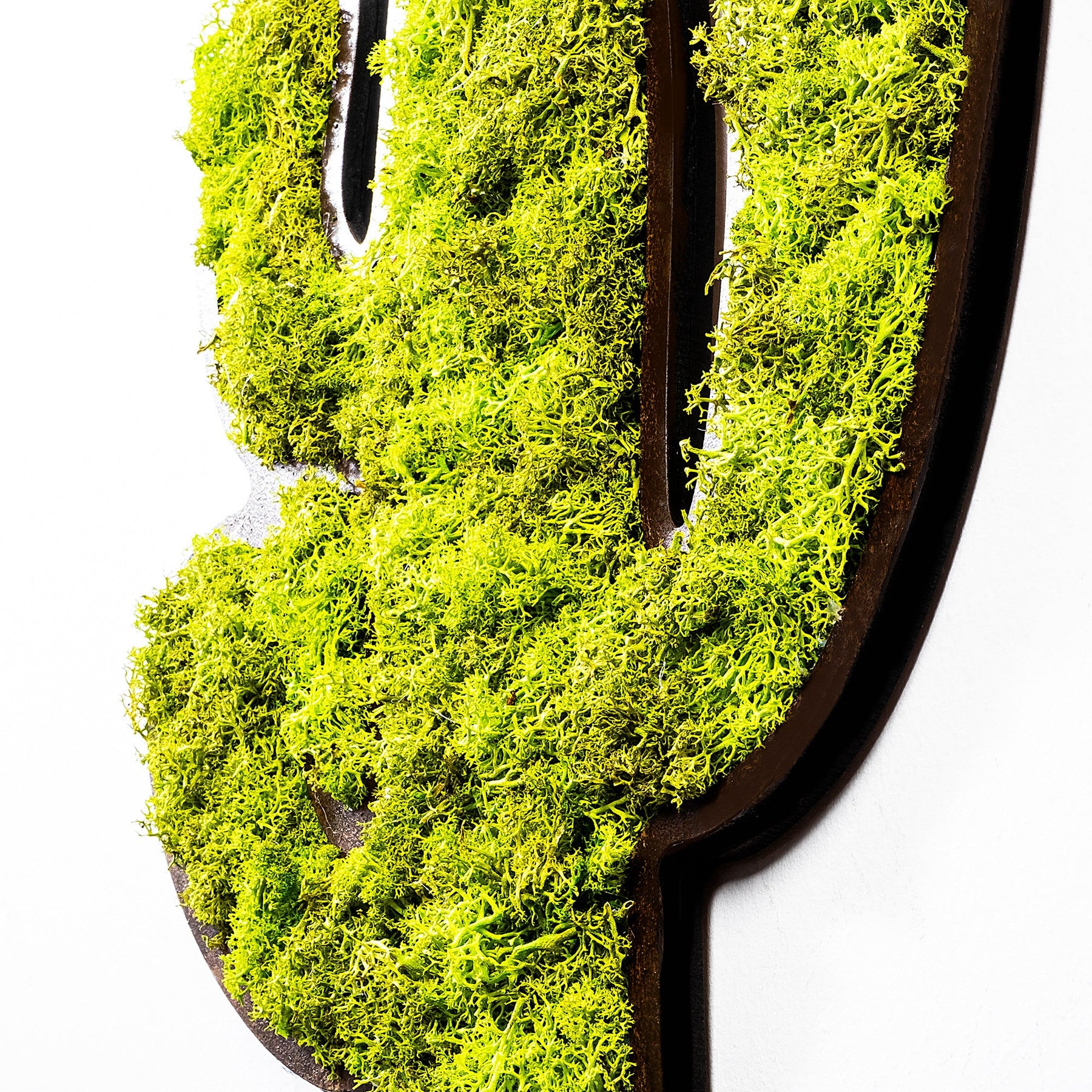 Accesoriu decorativ Cactus, verde, muschi natural, 34x2x45 cm