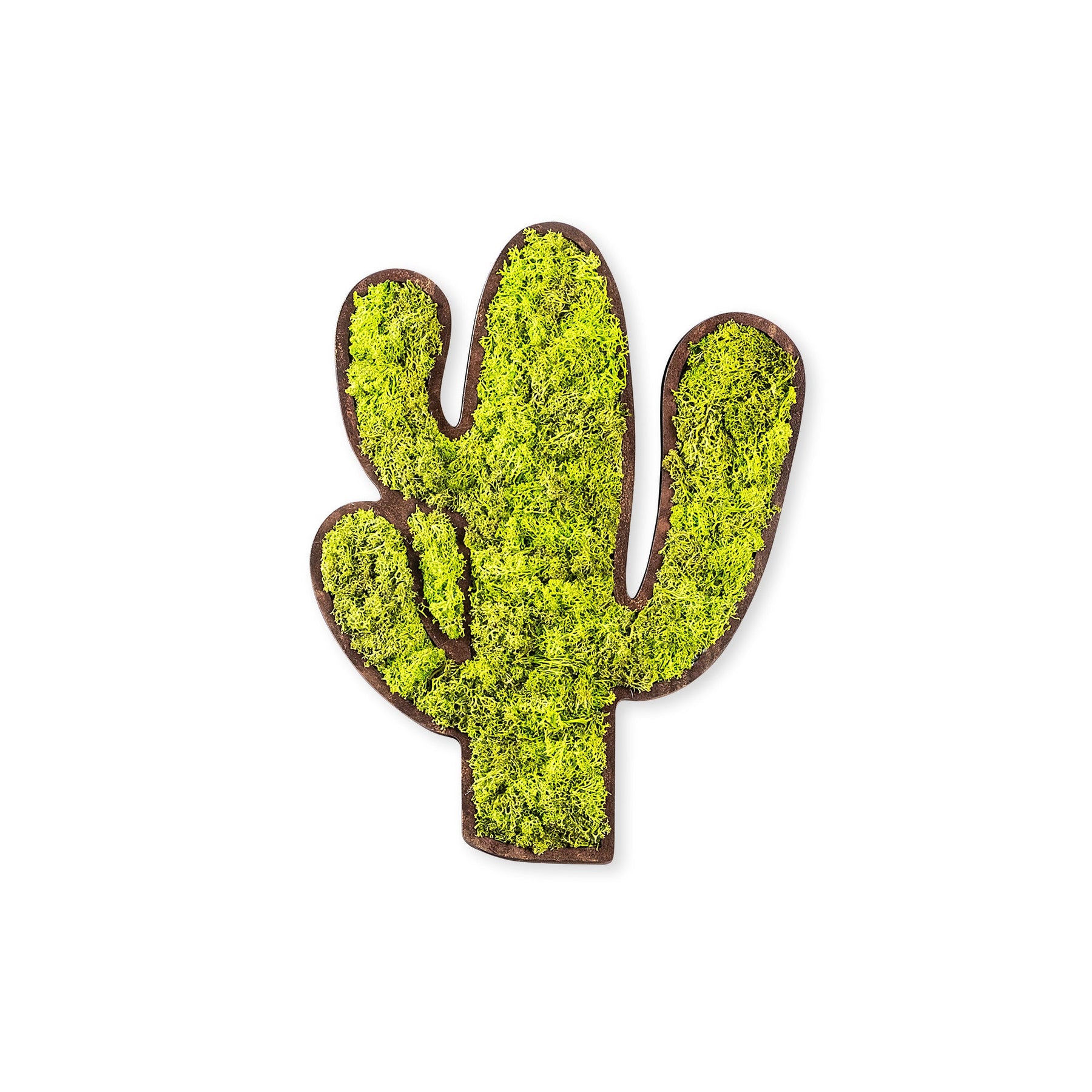 Accesoriu decorativ Cactus, verde, muschi natural, 34x2x45 cm