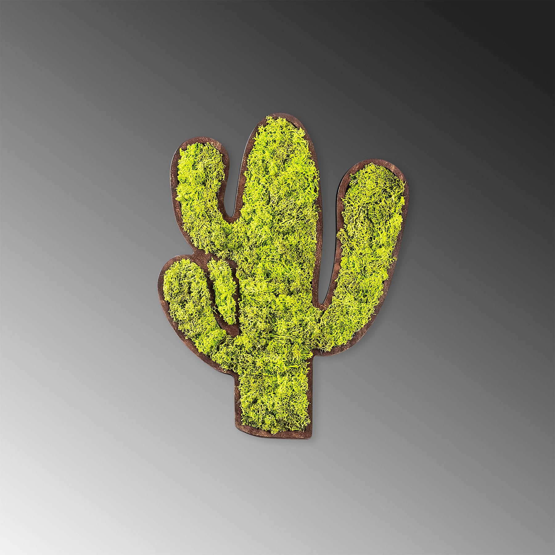Accesoriu decorativ Cactus, verde, muschi natural, 34x2x45 cm