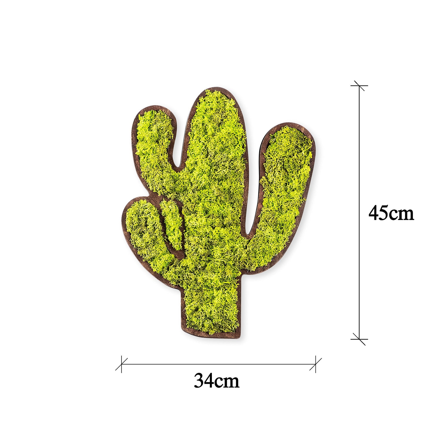 Accesoriu decorativ Cactus, verde, muschi natural, 34x2x45 cm