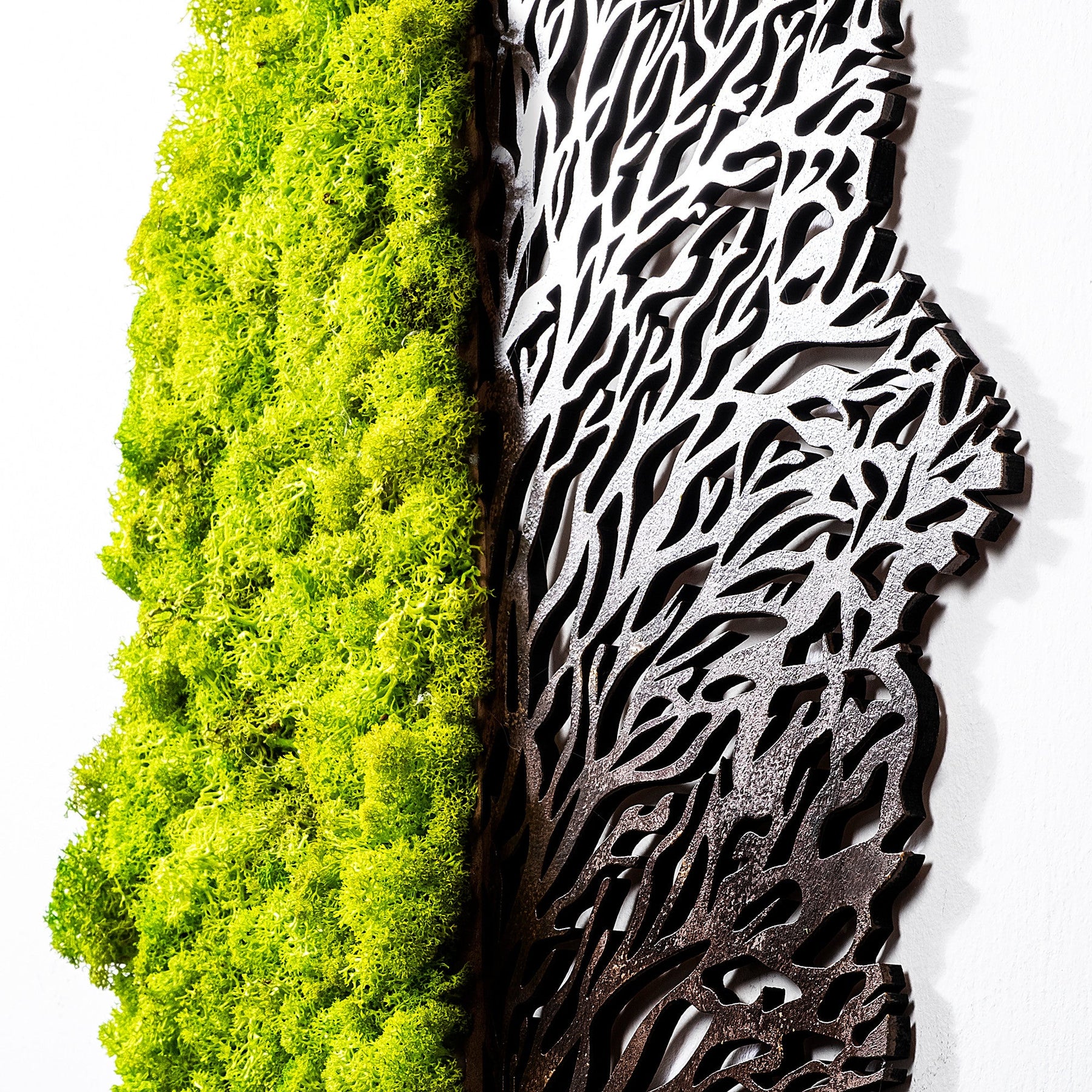 Decoratiune perete Green Dry, muschi, 45x56 cm