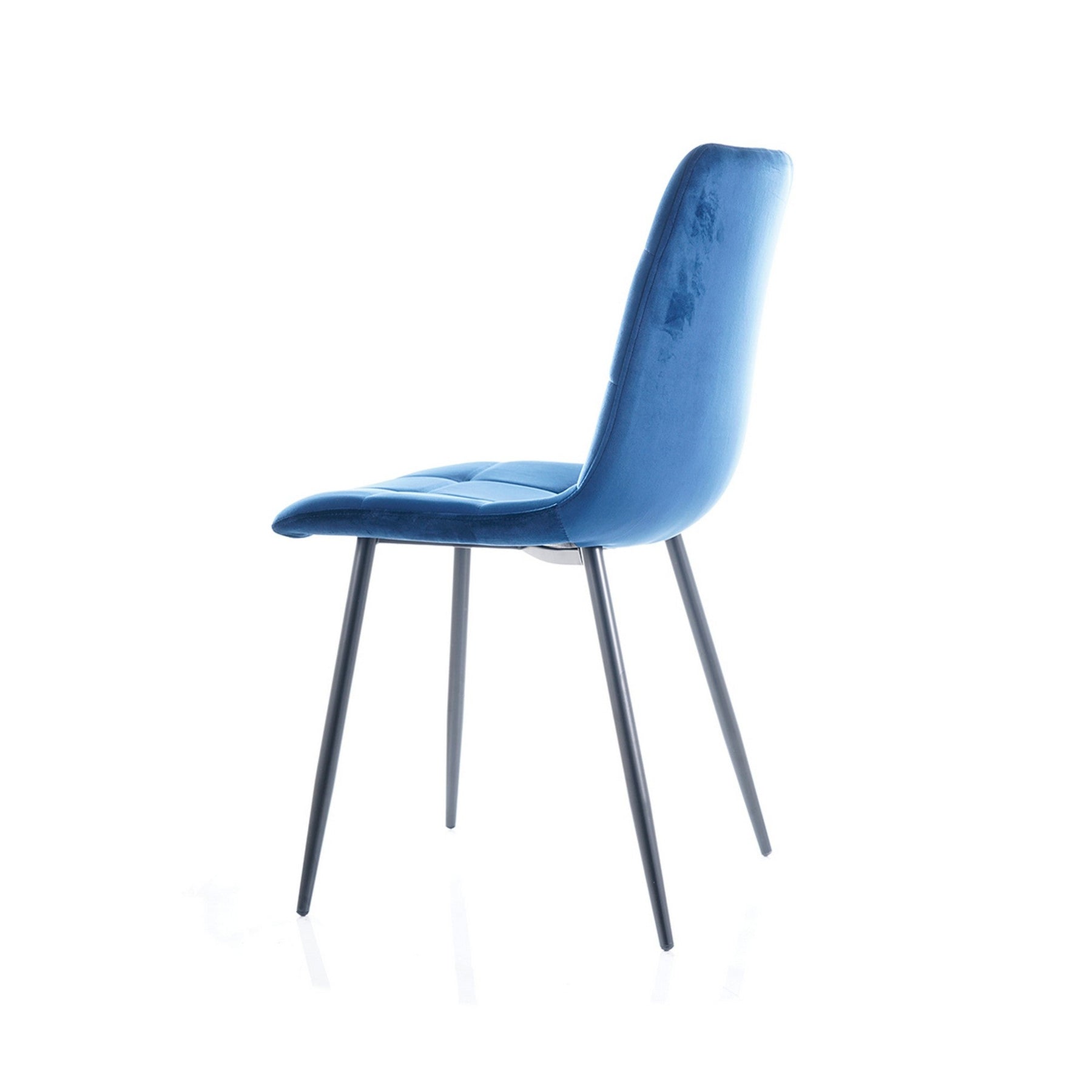 Scaun MILA, negru/albastru, 47x41x87