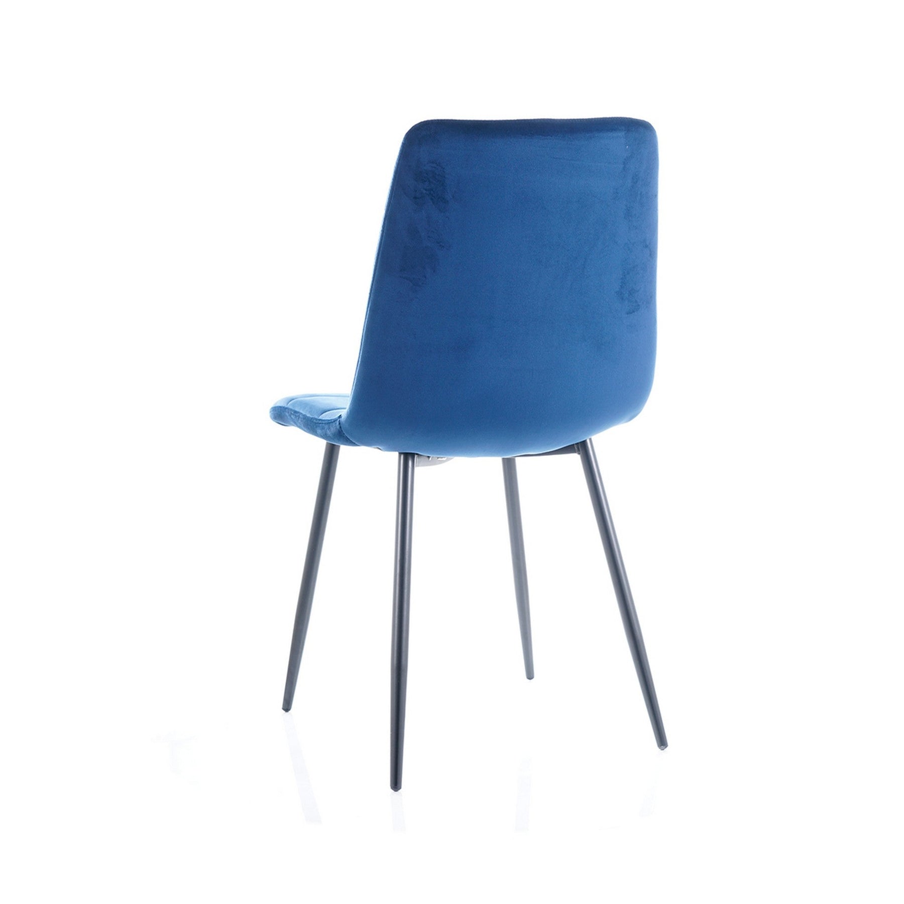 Scaun MILA, negru/albastru, 47x41x87