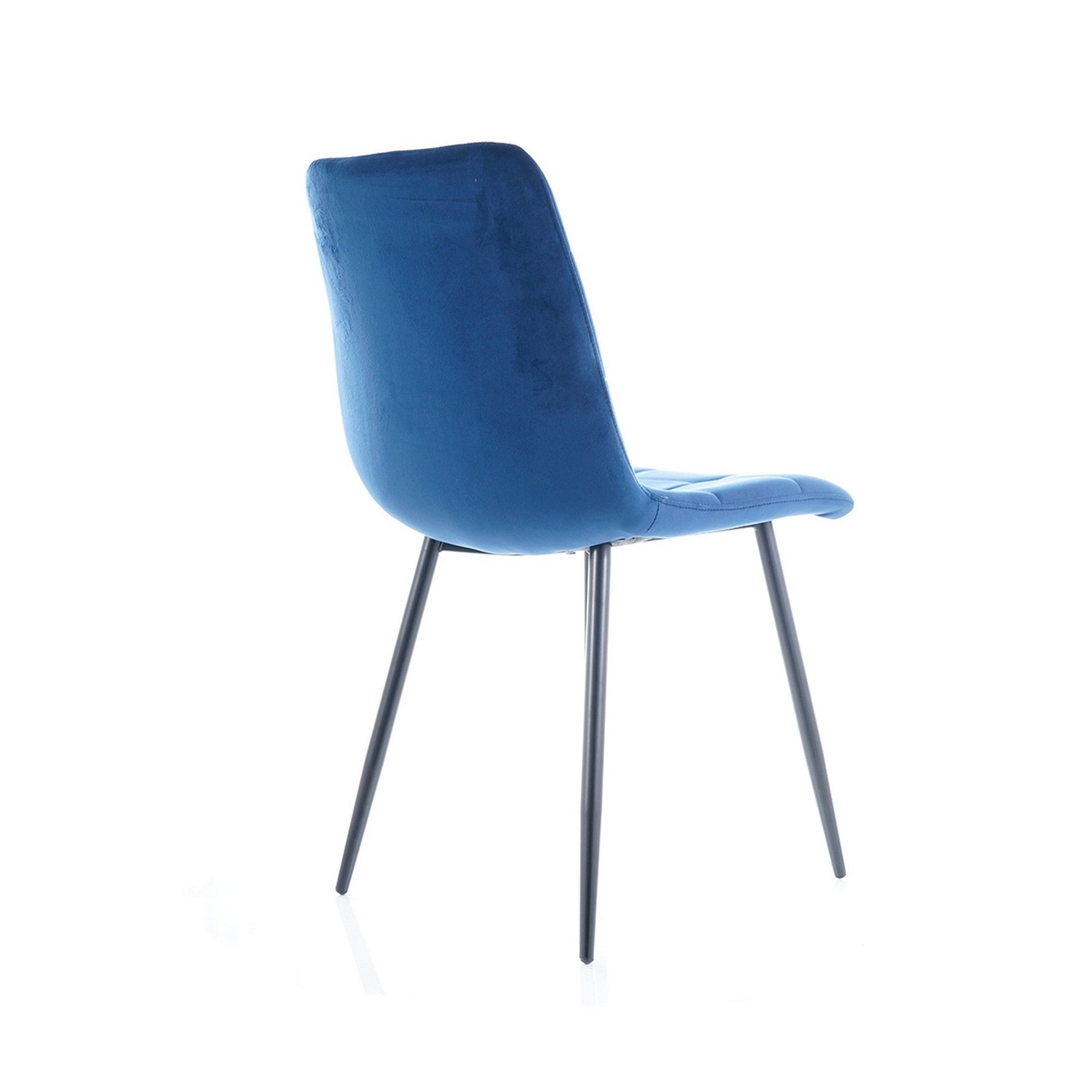 Scaun MILA, negru/albastru, 47x41x87
