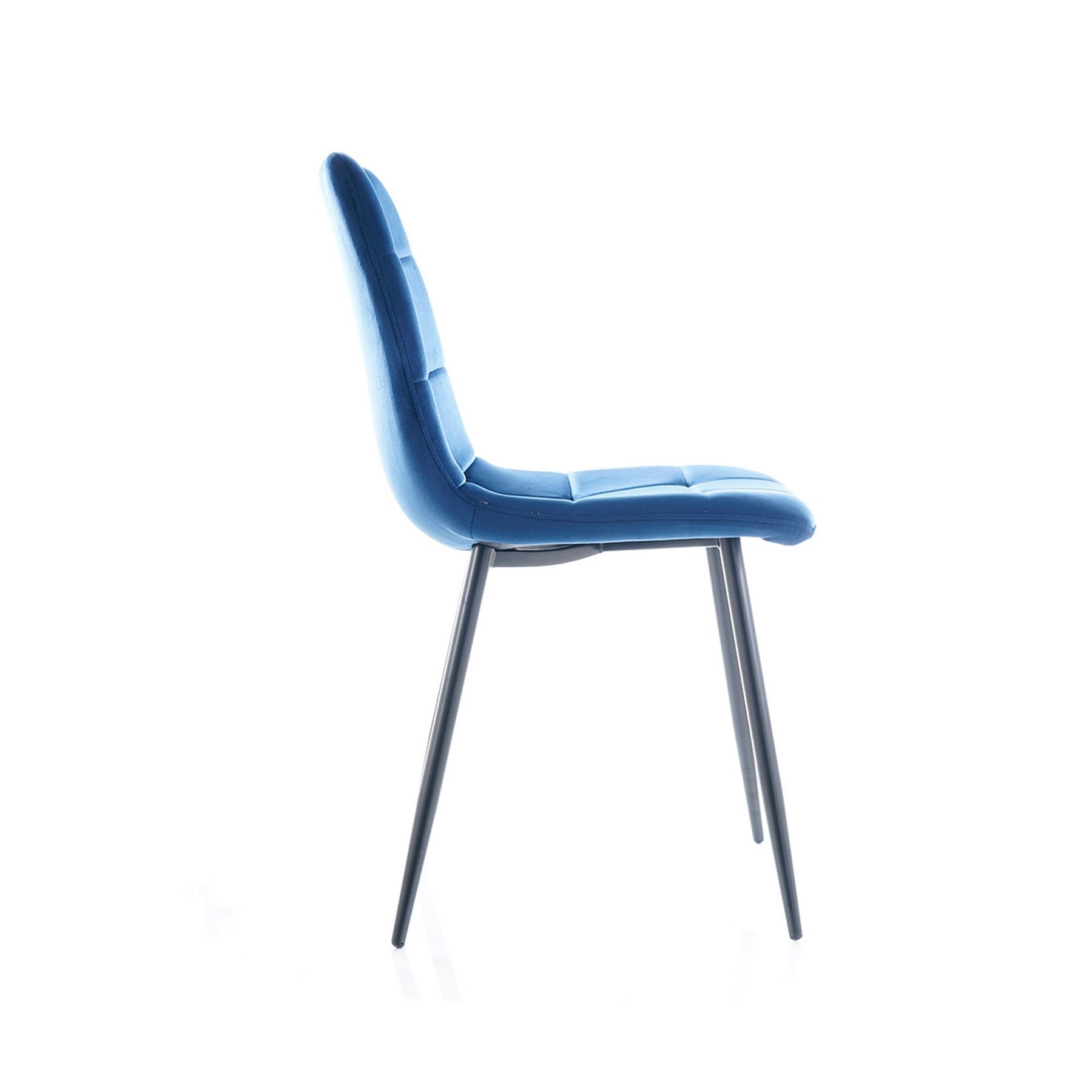 Scaun MILA, negru/albastru, 47x41x87