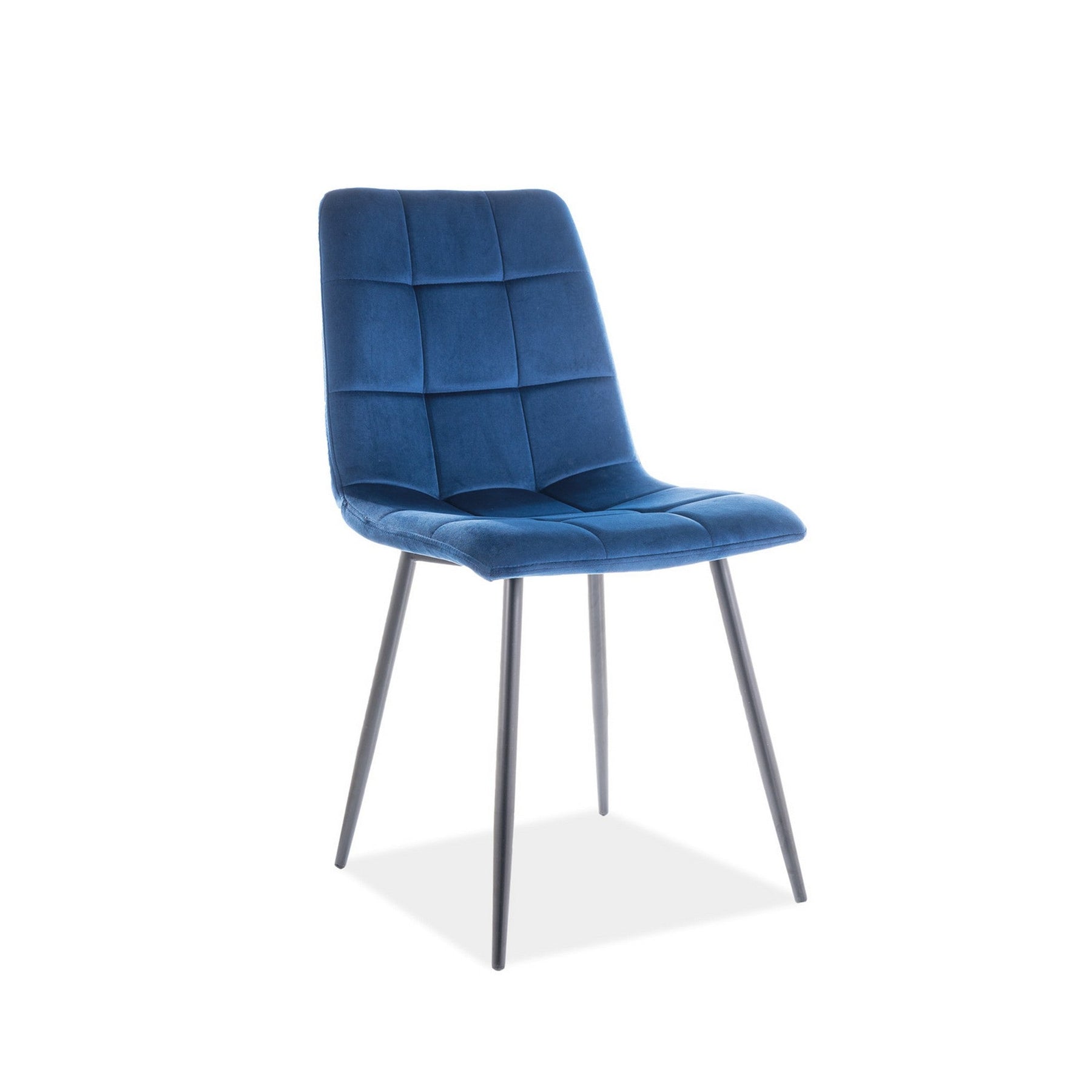 Scaun MILA, negru/albastru, 47x41x87