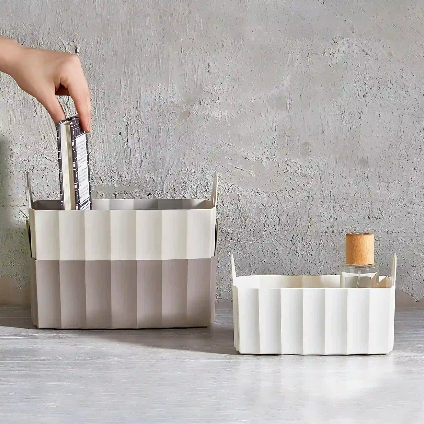 Organizator