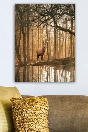 Tablou 529TCR1697, multicolor, panza, 50x70 cm