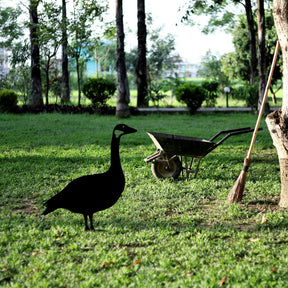 Decoratiune gradina GOOSE 01, negru, metal, 44x49 cm