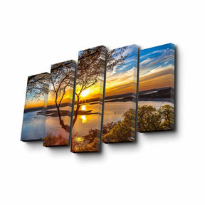 Set 5 tablouri 5PUC-117, multicolor, panza, 82x50 cm