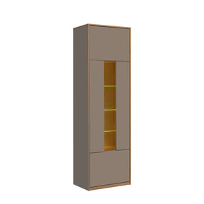 Vitrina pentru living COMPLEX, PAL laminat/sticlă, gri cubanit/stejar, 60.2×40×195.8 cm