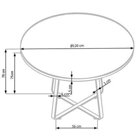 Masuta cafea LOOPER, stejar auriu/negru, 120X78X56 CM
