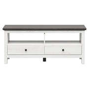 Comoda TV BERGEN OCN-29660, alb/pin larico