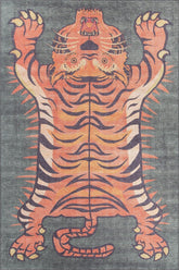 Covor AMSTERDAM OCN-33329, multicolor