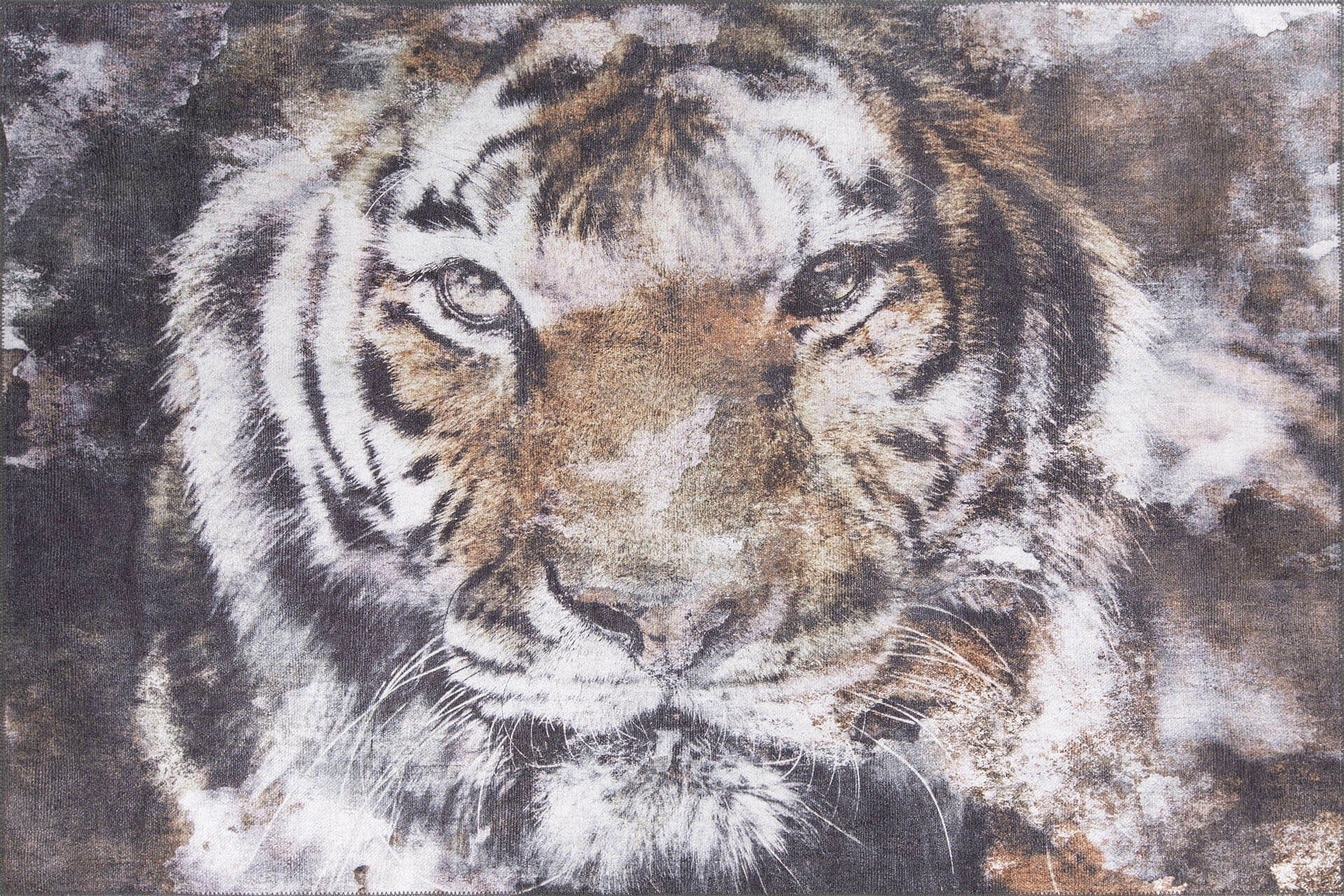 Covor AMSTERDAM OCN-33330, multicolor