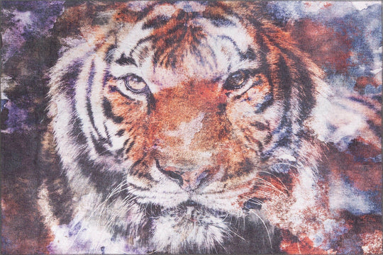 Covor AMSTERDAM OCN-33331, multicolor