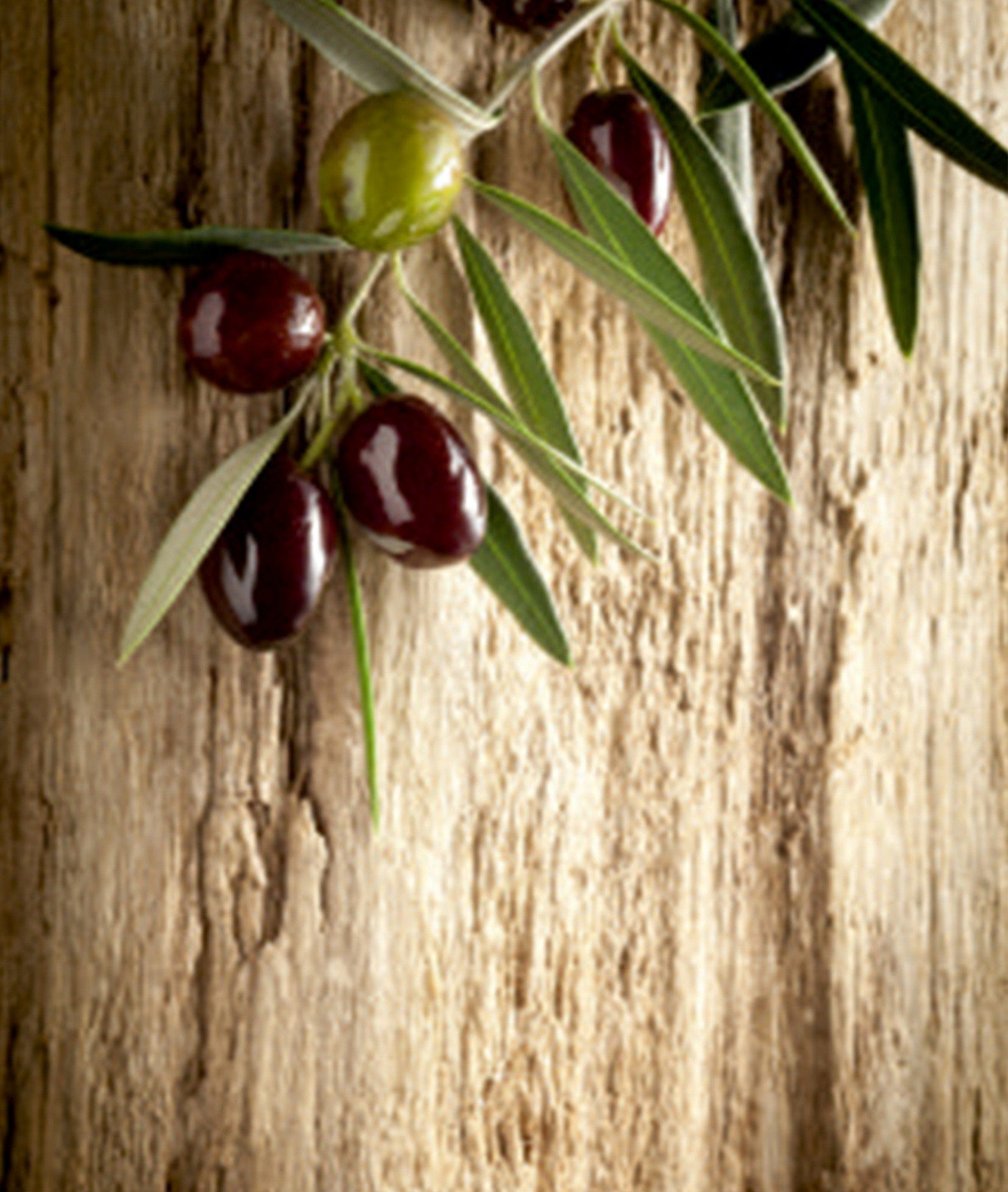 Covor AMSTERDAM OCN-33733, multicolor