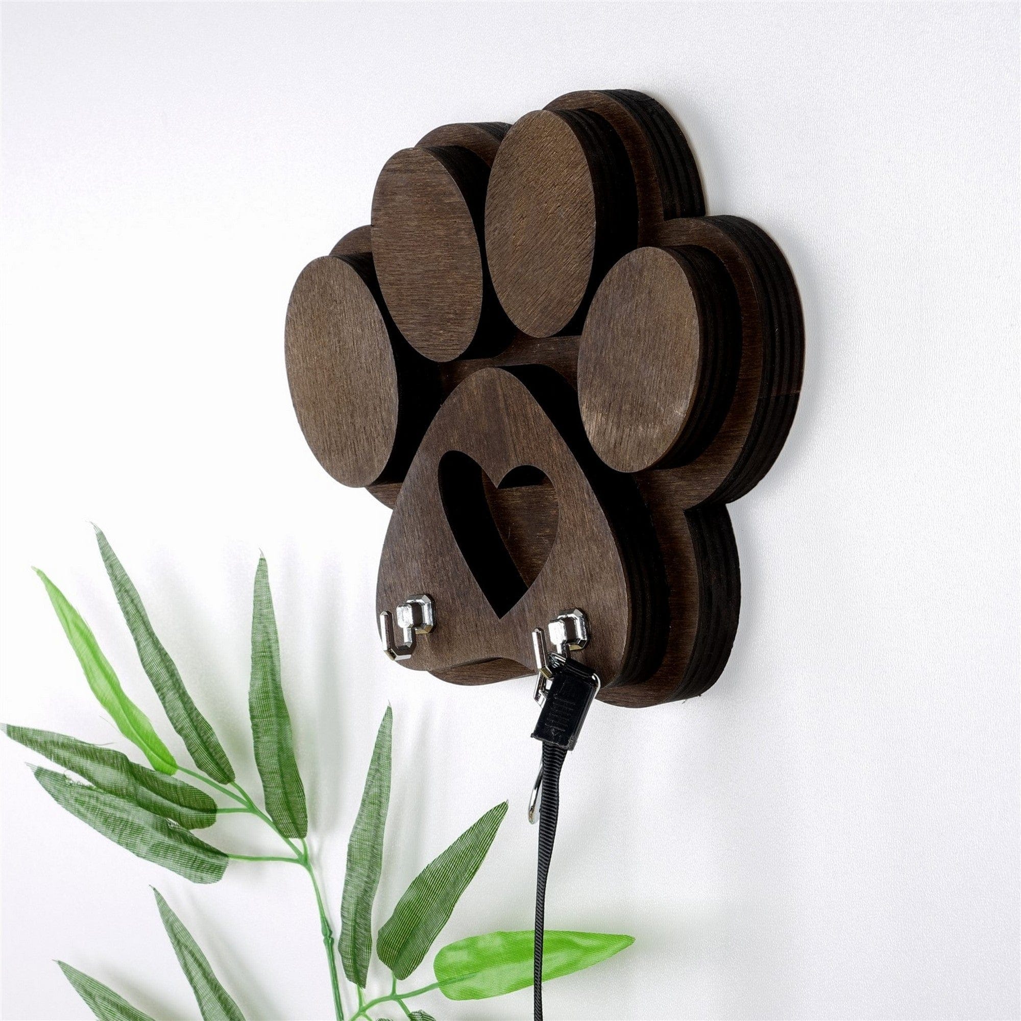 Cuier AMSTERDAM OCN-33093, maro