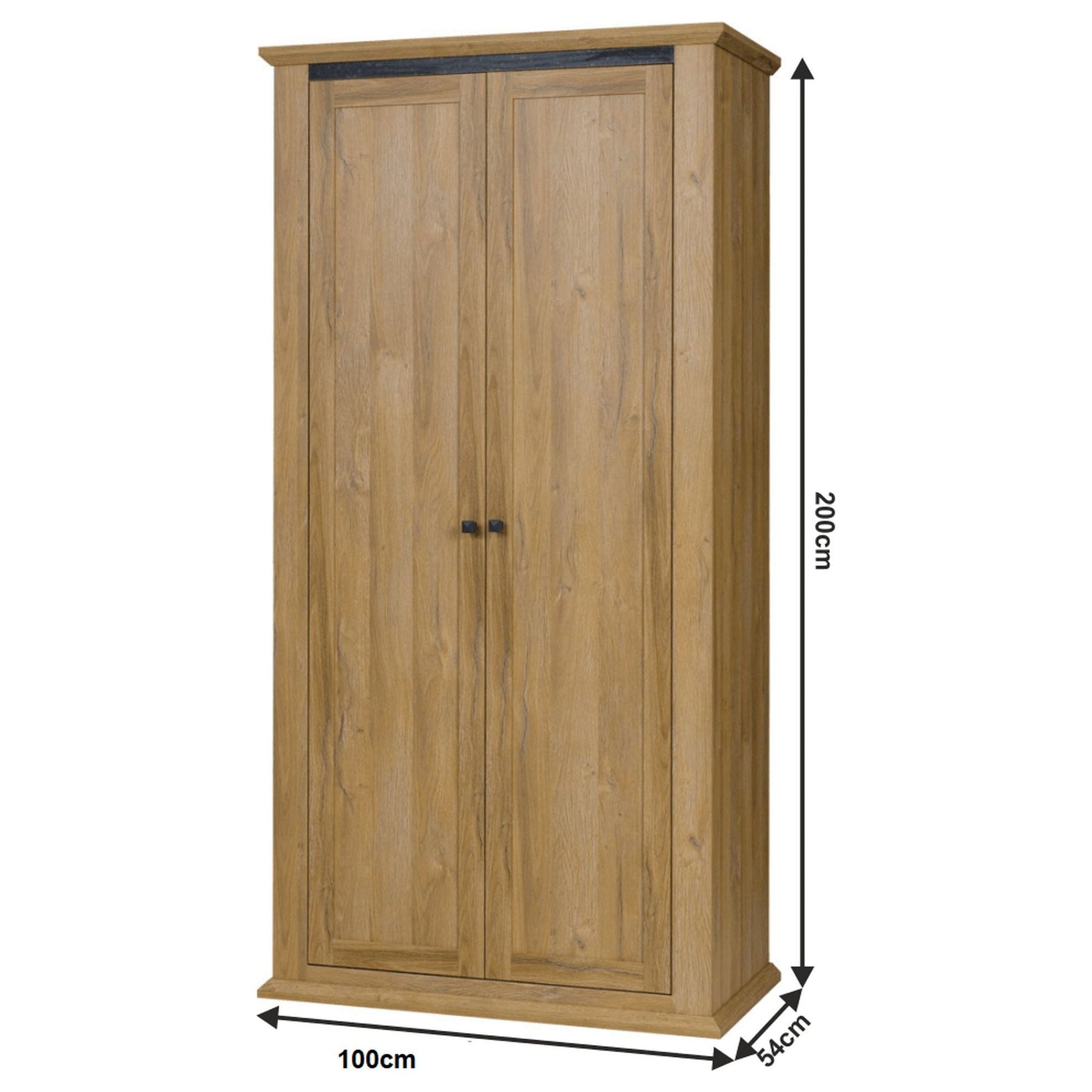 Dulap LEON MZ2, stejar, DTD laminat/canturi ABS, cu 2 usi, 100x54x100 cm