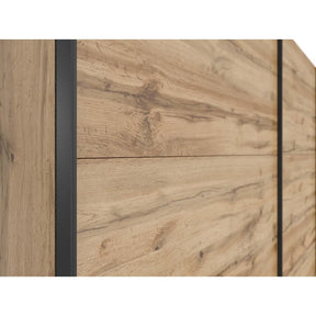 Dressing TETRIX, stejar wotan/alb lucios, PAL, cu 2 usi, 220x60x196 cm