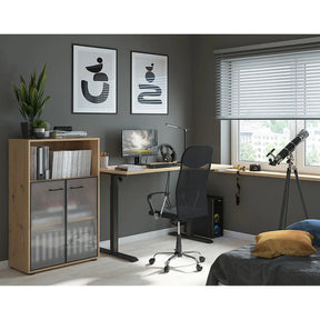 Vitrina SPACE OFFICE, stejar artisan/negru fumuriu, PAL laminat/sticla, cu 2 usi, 80x38x122 cm