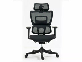 Scaun de birou WINNER, negru, plasa, 64x51x114 cm
