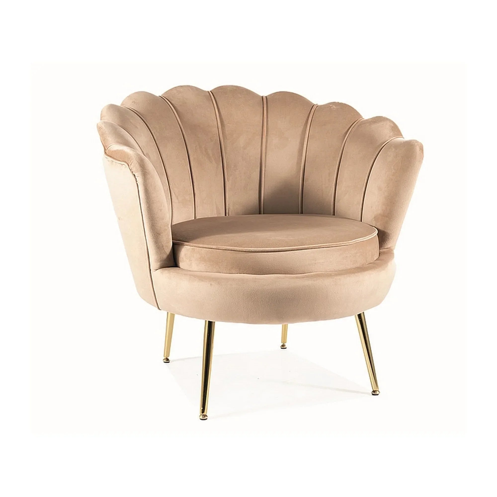 Fotoliu DETROIT OCN-39658, bej