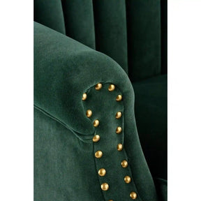 Fotoliu HOUSTON OCN-37653, verde/negru