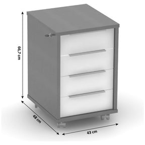 Comoda cu sertare RIOMA NEW TYP 30, PAL laminat, grafit/alb, 43x48x66,7 cm