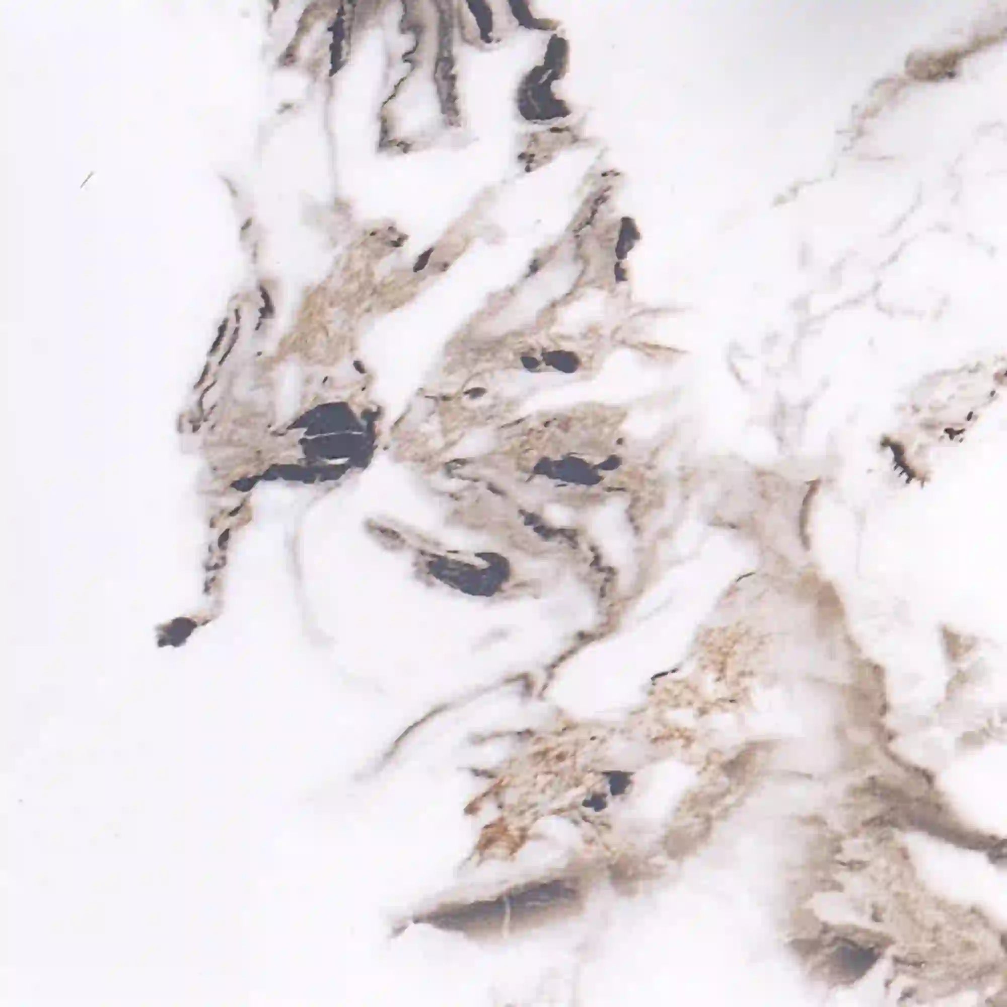 Masa HOUSTON OCN-37515, alb/negru