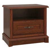 Noptiera BERGEN OCN-28955, castan