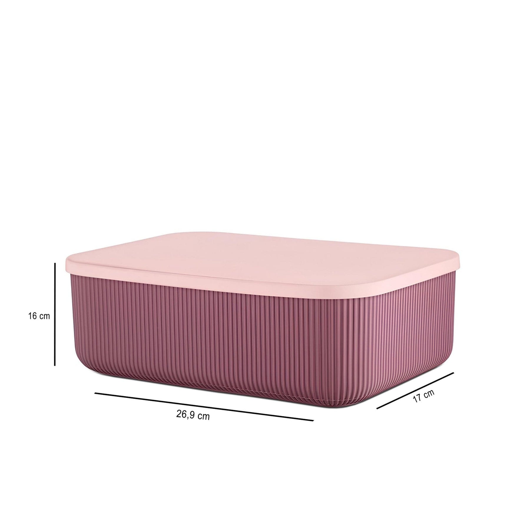 Organizator AMSTERDAM OCN-31398, roz
