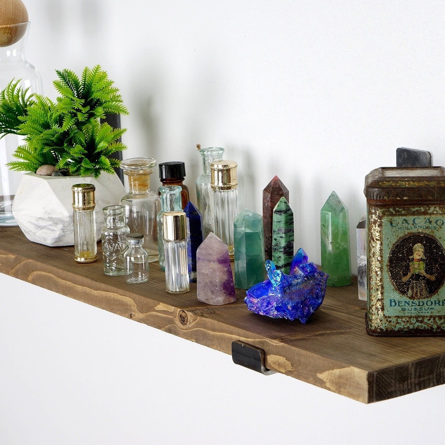 Polita AMSTERDAM OCN-31179, nuc