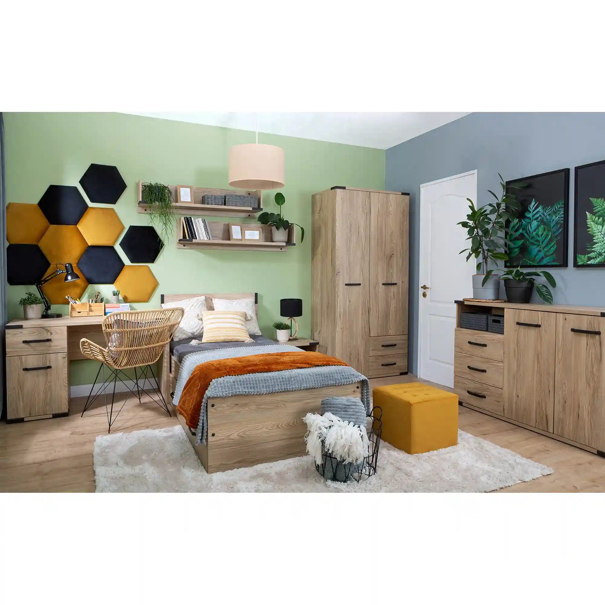 Polita BERGEN OCN-28686, stejar