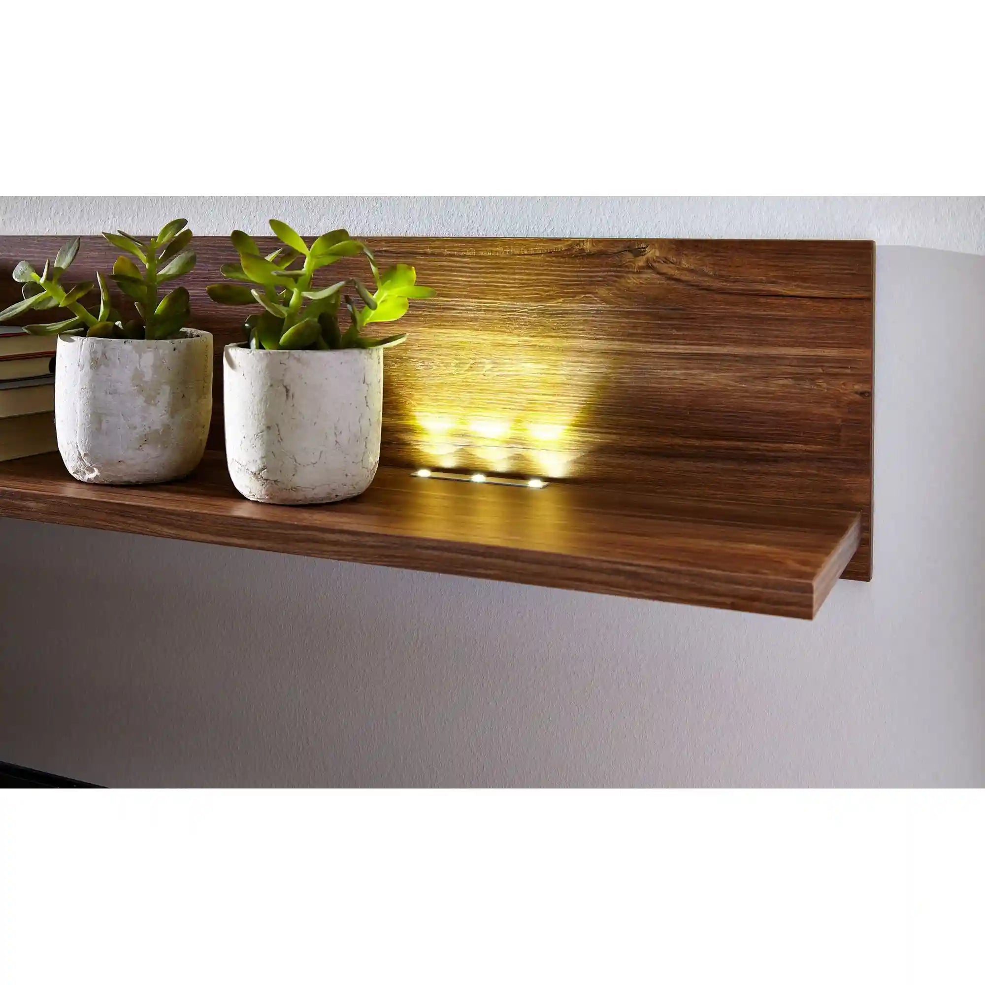 Polita BERGEN OCN-28694, stejar