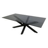 Masuta OHIO, negru fumuriu/negru, sticla securizata/metal, 120x60x45 cm