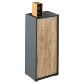 Dulap, grafit/stejar artisan, RIOMA NEW TYP 10
