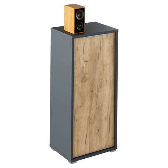 Dulap, grafit/stejar artisan, RIOMA NEW TYP 10