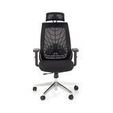 Scaun birou HOUSTON OCN-36126, negru/crom