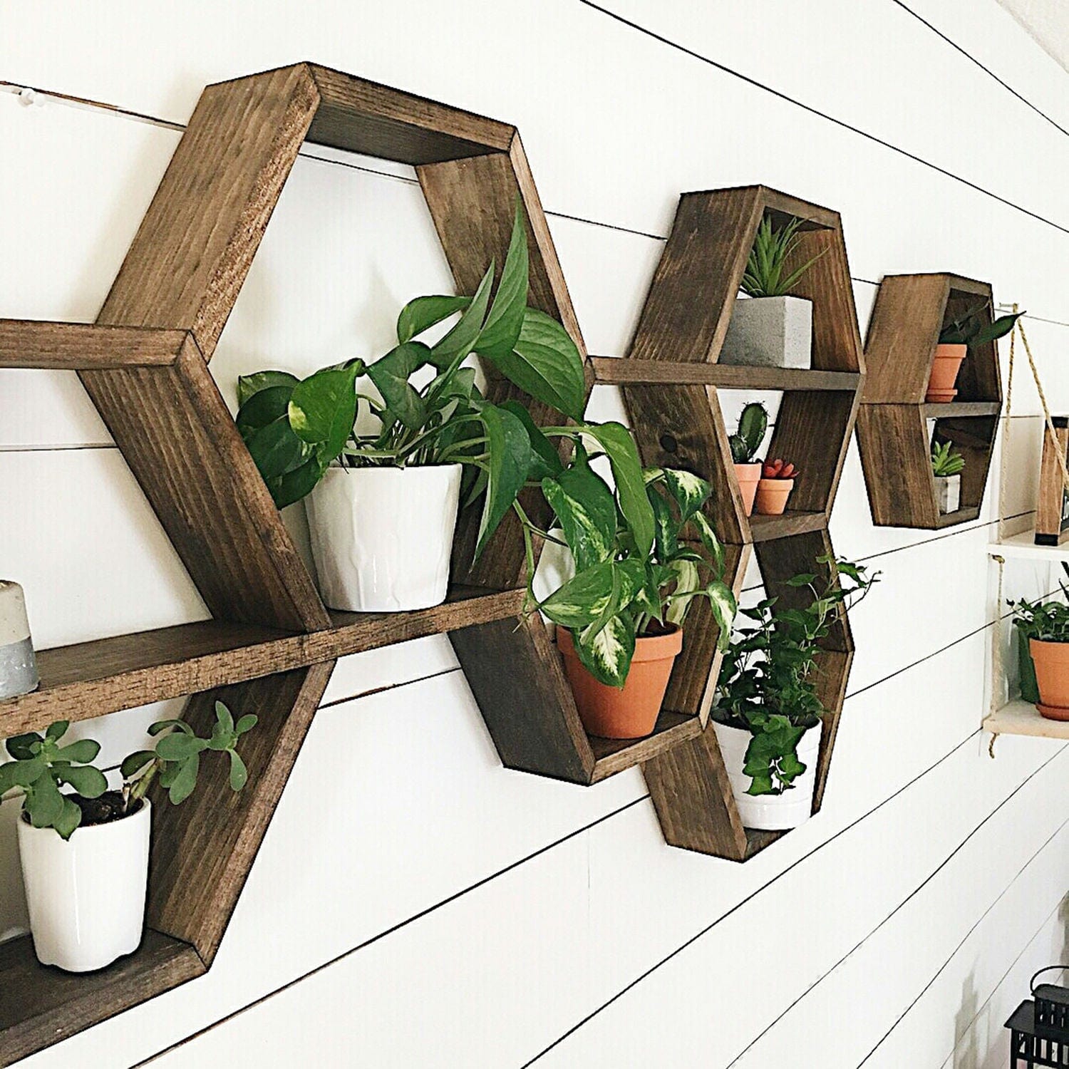 Set 6 rafturi AMSTERDAM OCN-30982, nuc