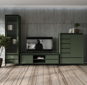 Vitrina LOUNGE 6, verde/negru, PAL/sticla, 62x45x212 cm