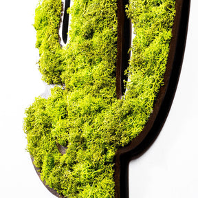 Accesoriu decorativ Cactus, verde, muschi natural, 34x2x45 cm