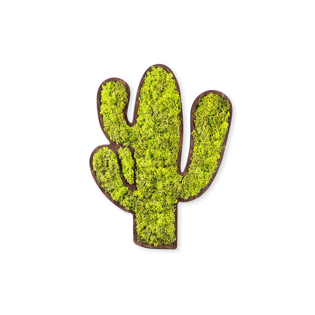 Accesoriu decorativ Cactus, verde, muschi natural, 34x2x45 cm