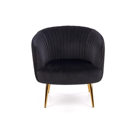 Fotoliu CROWN, negru/auriu, 78x72x80x45 cm