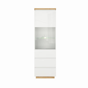 Vitrina living moderna Erla REG1W2S, 60X41X196 CM